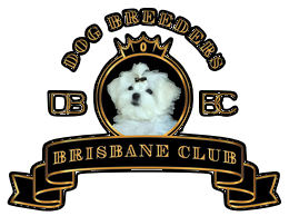 DBBC | Dog Breeders Brisbane Club
